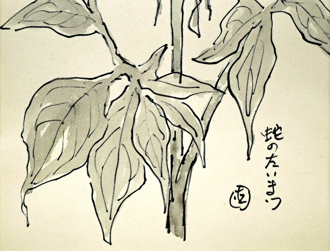 坂本直行「蛇のたいまつ」水彩画・3号　拡大画像3