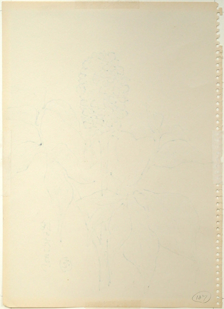 坂本直行「蛇のたいまつ」水彩画・3号　作品裏側画像