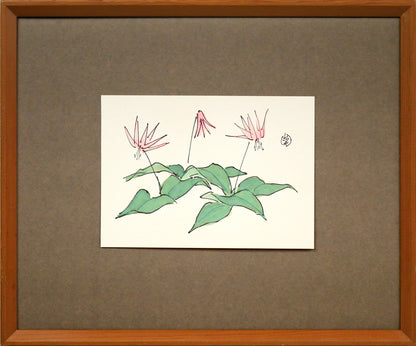 坂本直行「かたくり」水彩画・SM