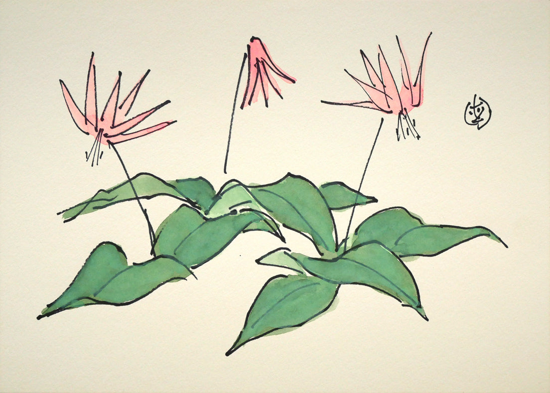 坂本直行「かたくり」水彩画・SM　作品全体画像