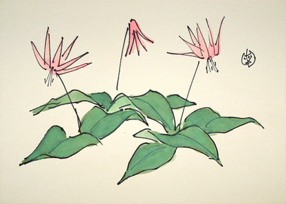 坂本直行「かたくり」水彩画・SM　作品全体画像