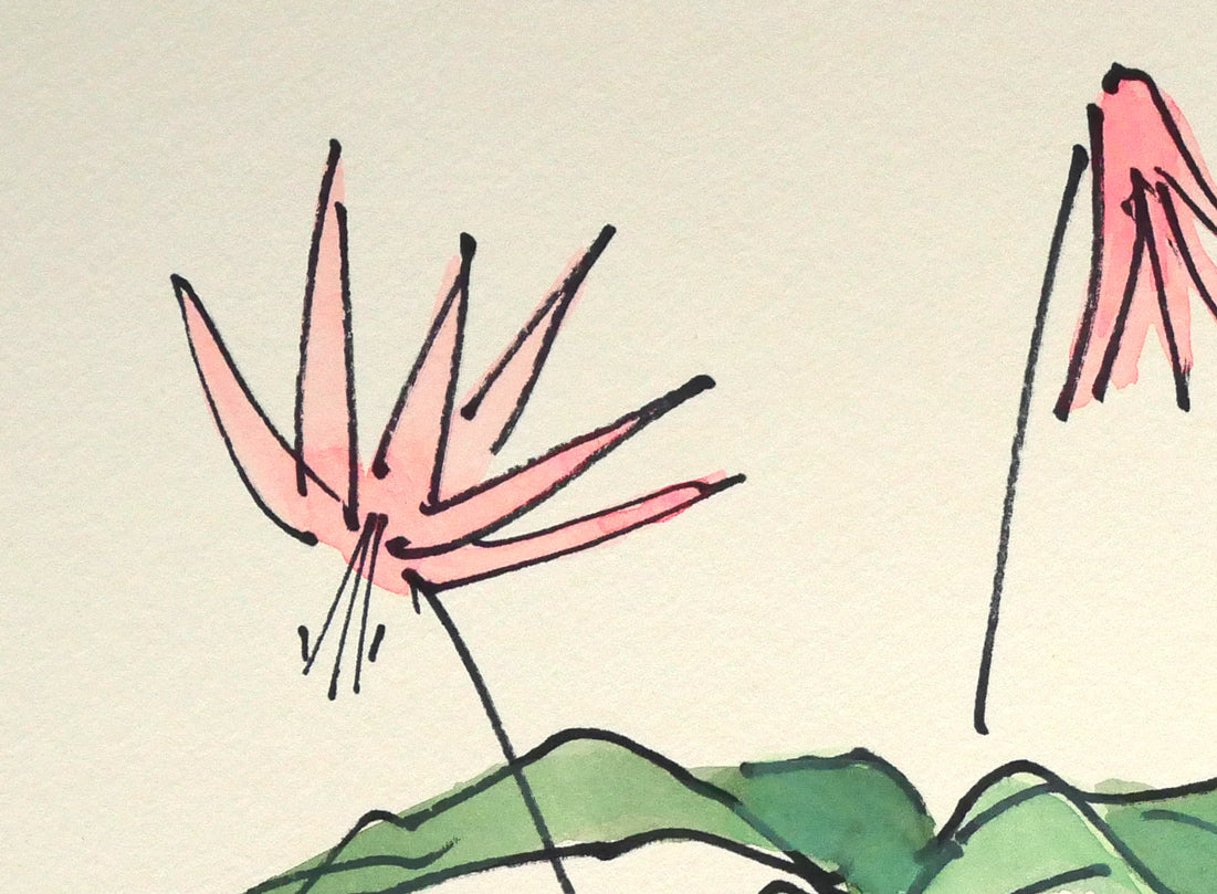坂本直行「かたくり」水彩画・SM　拡大画像1