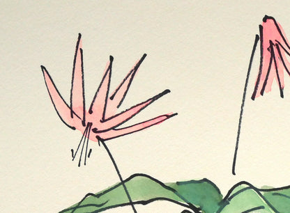 坂本直行「かたくり」水彩画・SM　拡大画像1