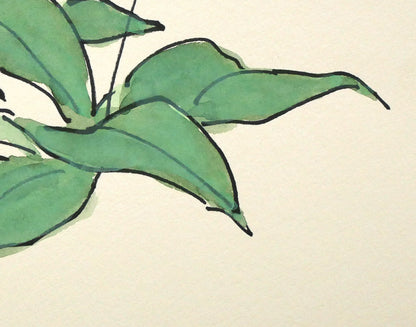坂本直行「かたくり」水彩画・SM　拡大画像6