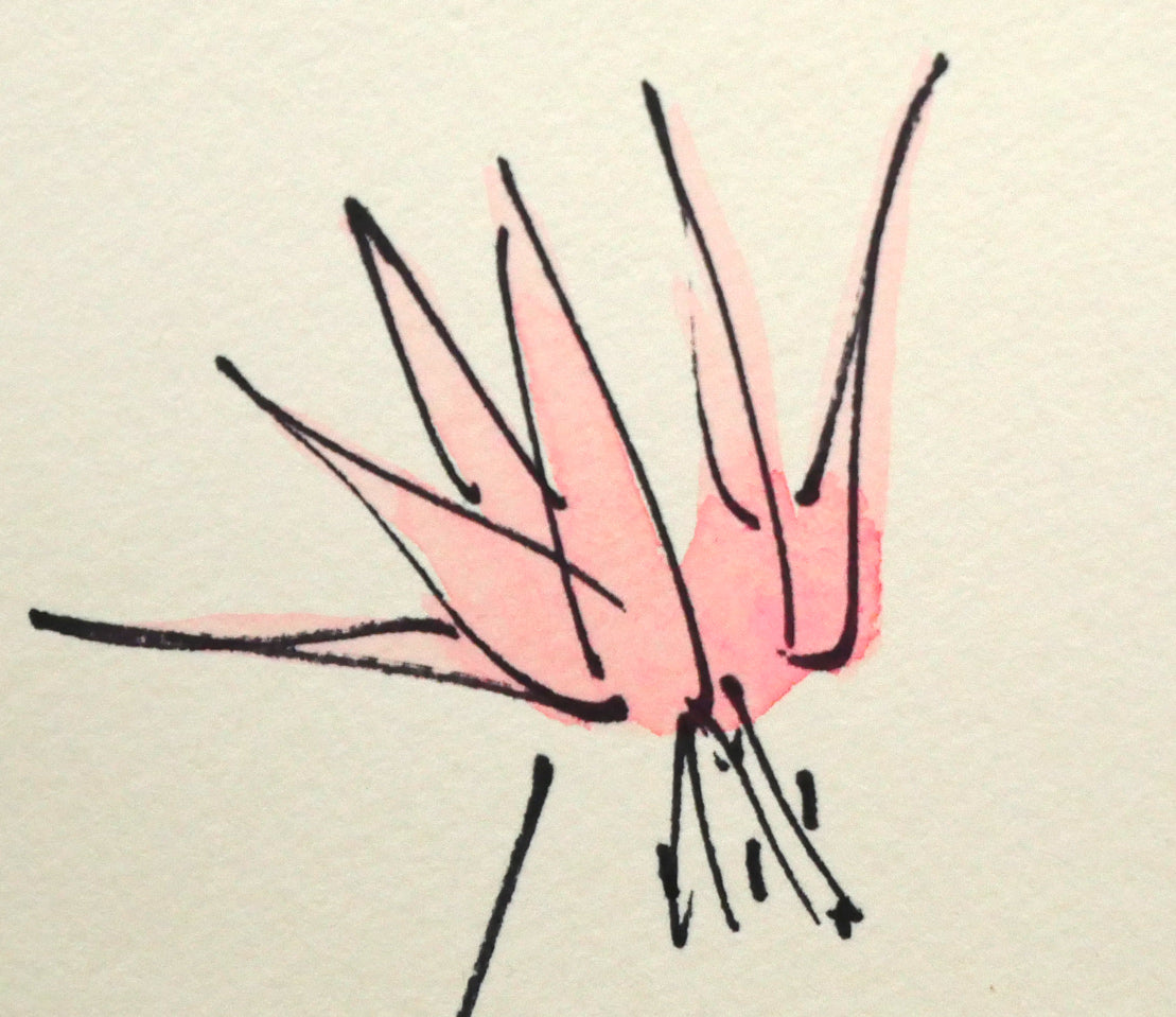 坂本直行「かたくり」水彩画・SM　拡大画像4