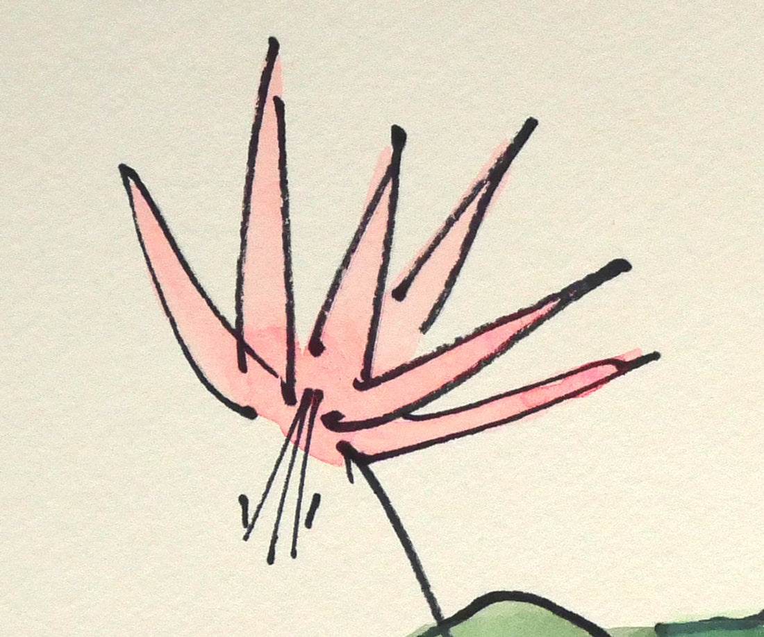 坂本直行「かたくり」水彩画・SM　拡大画像2