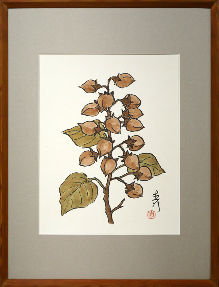 坂本直行「桐の実」水彩画・6号
