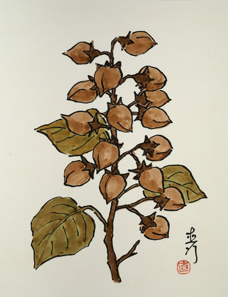 坂本直行「桐の実」水彩画・6号　作品全体画像