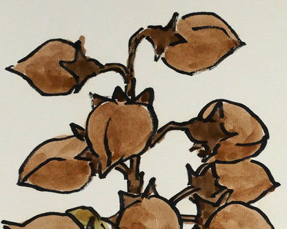 坂本直行「桐の実」水彩画・6号　拡大画像1