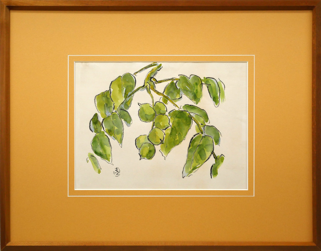 坂本直行「こくわ」水彩画・3号