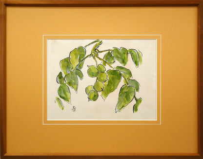 坂本直行「こくわ」水彩画・3号