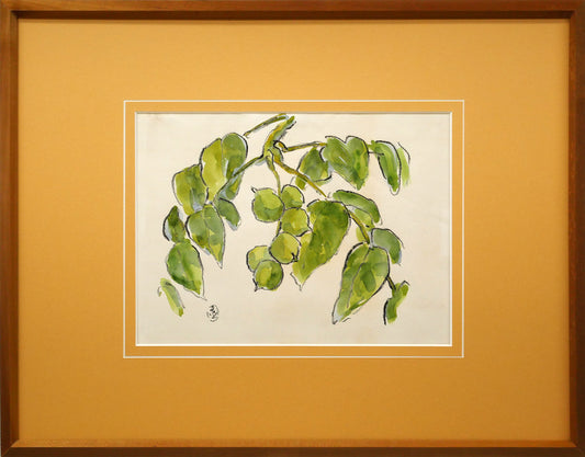 坂本直行「こくわ」水彩画・3号
