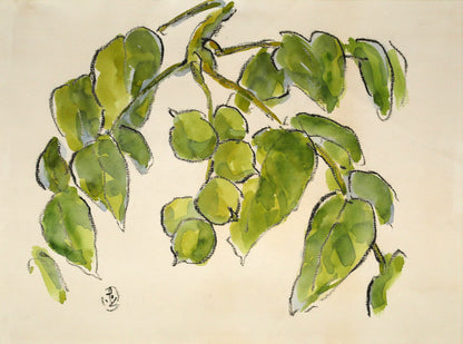 坂本直行「こくわ」水彩画・3号　作品全体画像