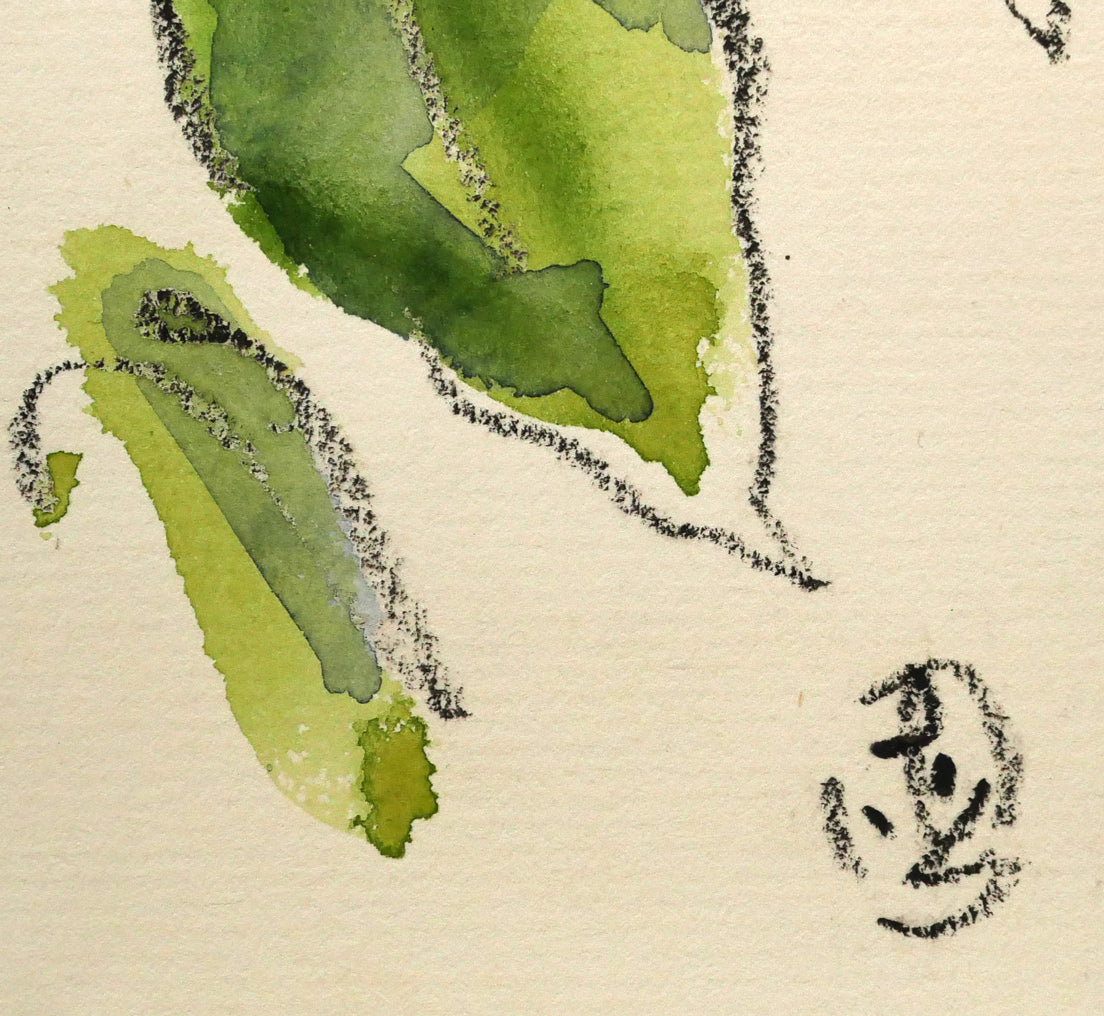 坂本直行「こくわ」水彩画・3号　サイン画像