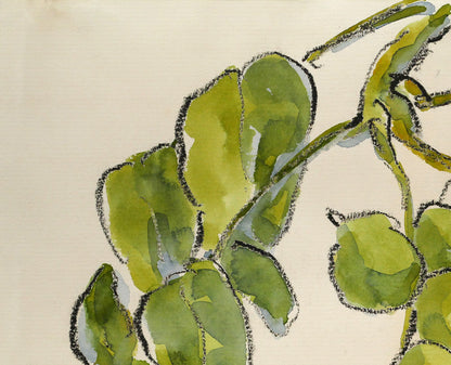 坂本直行「こくわ」水彩画・3号　拡大画像1