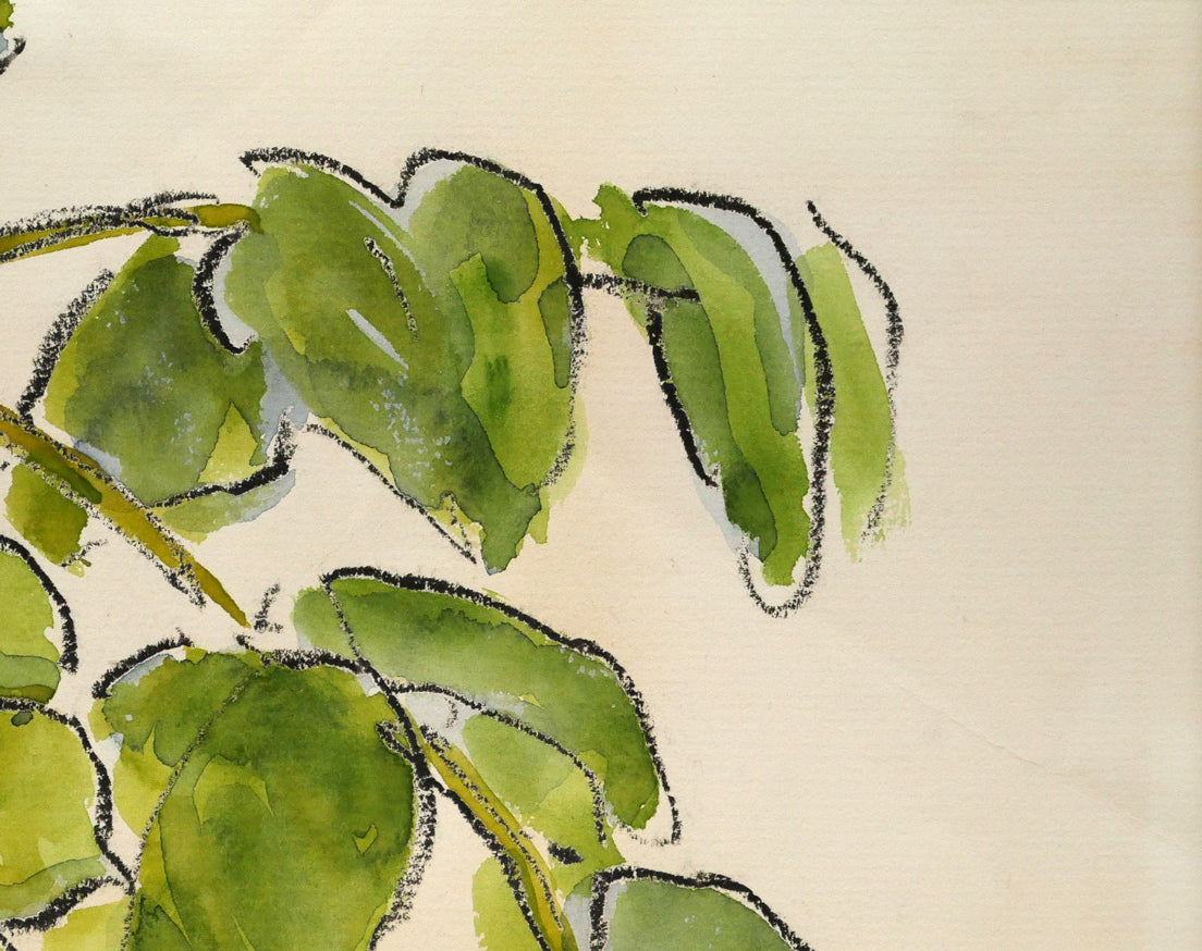 坂本直行「こくわ」水彩画・3号　拡大画像2