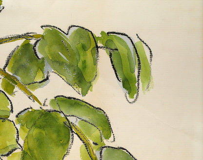 坂本直行「こくわ」水彩画・3号　拡大画像2