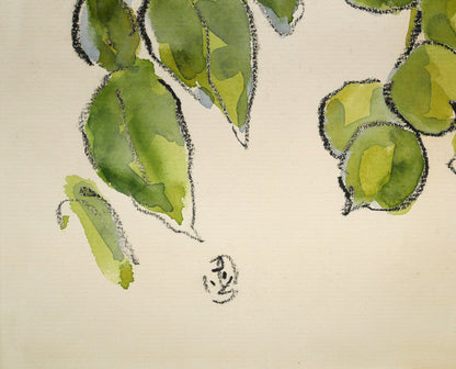 坂本直行「こくわ」水彩画・3号　拡大画像3