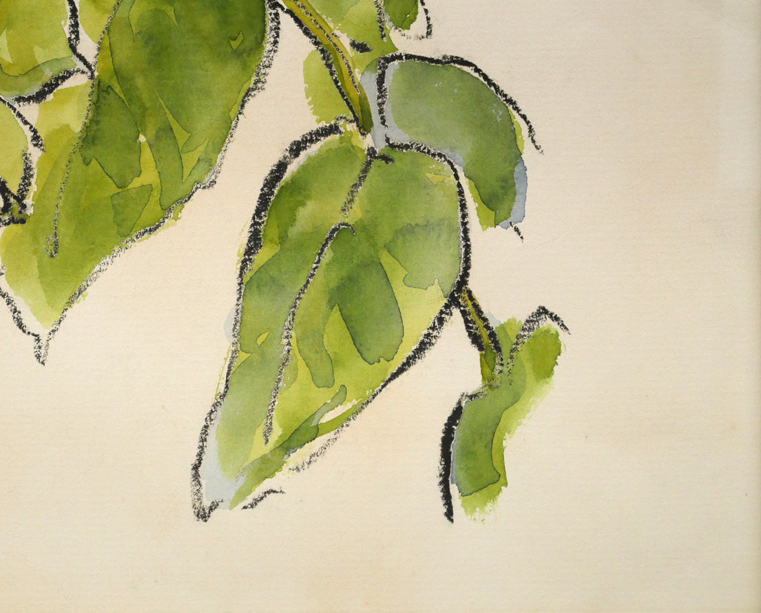 坂本直行「こくわ」水彩画・3号　拡大画像4