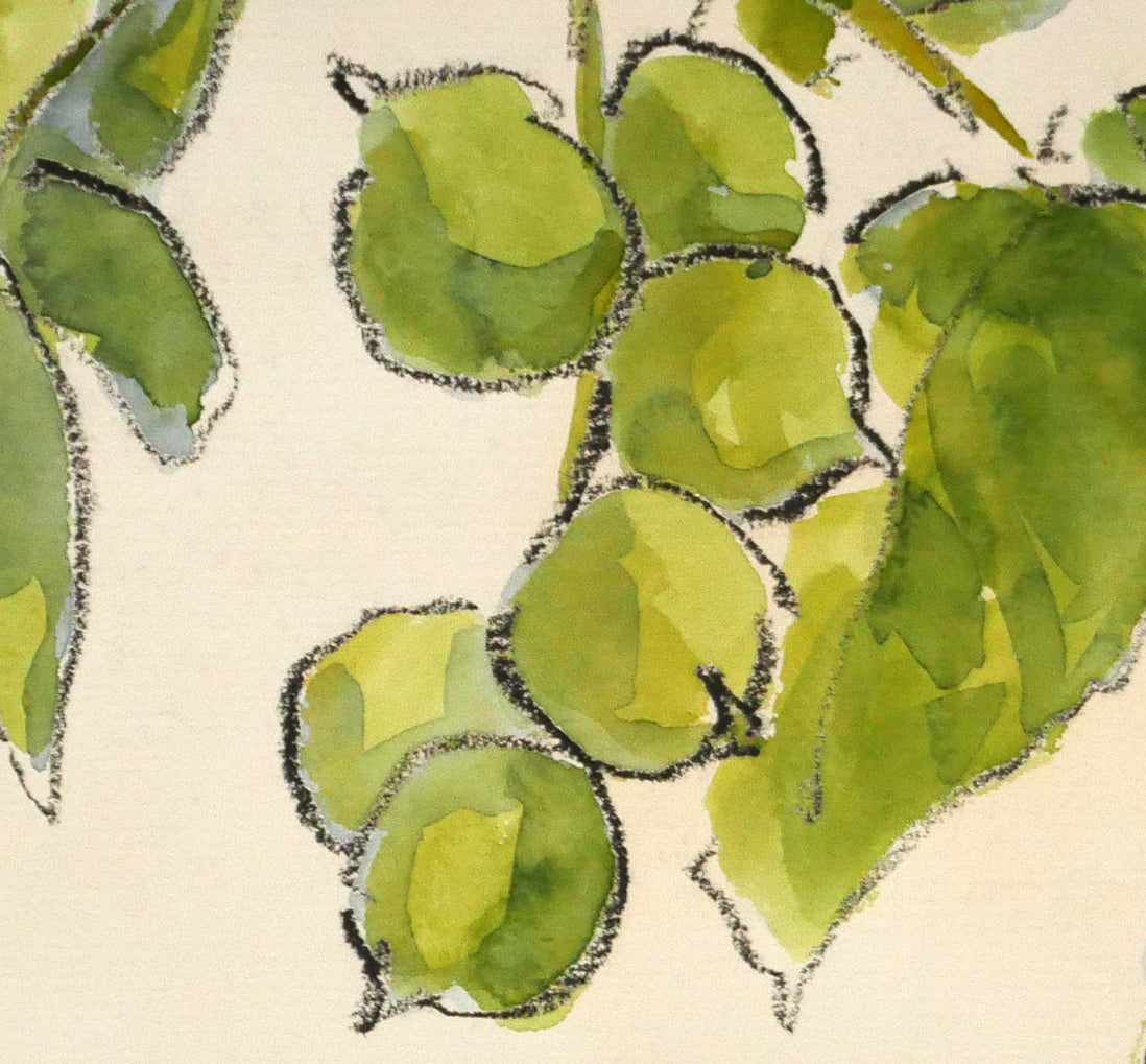 坂本直行「こくわ」水彩画・3号　拡大画像5