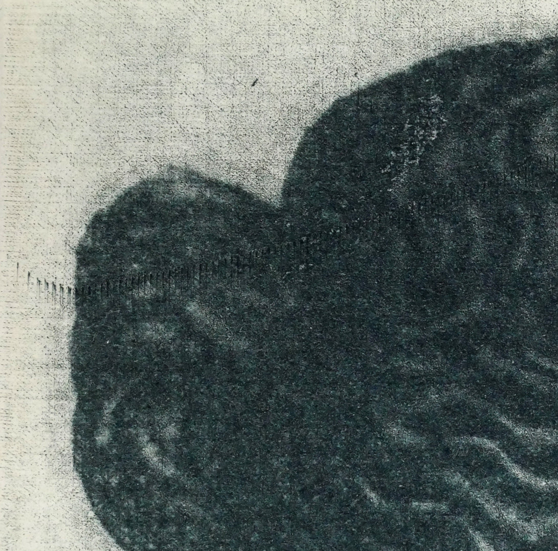 更科秀「ヴィーナス（3）」銅版画　拡大画像1