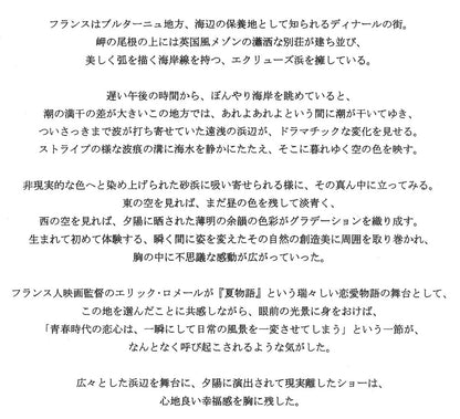 笹倉鉄平「エクリューズ浜」シルクスクリーン版画　作家コメント拡大画像
