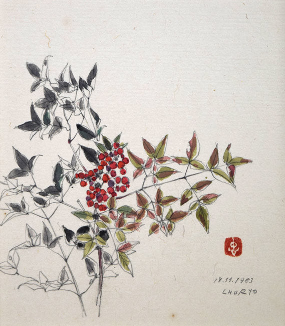 佐藤忠良「なんてん」水彩画・色紙　作品全体拡大画像