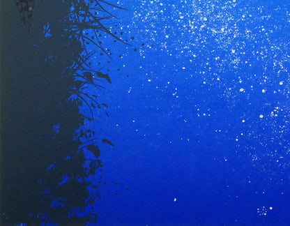 千住博「水」リトグラフ　拡大画像10