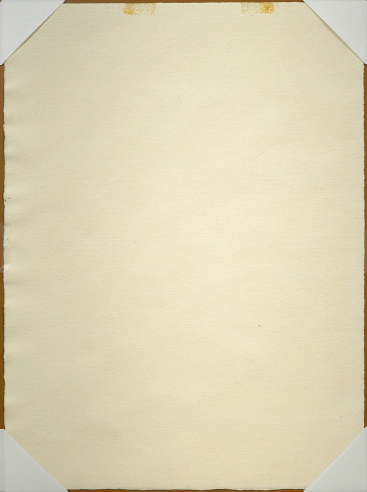 繁野三郎「薔薇」水彩画・6号小　作品裏側画像