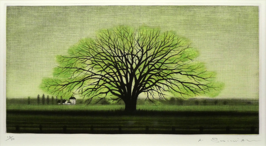 清水敦「はるにれ」銅版画（カラーメゾチント）　作品全体画像