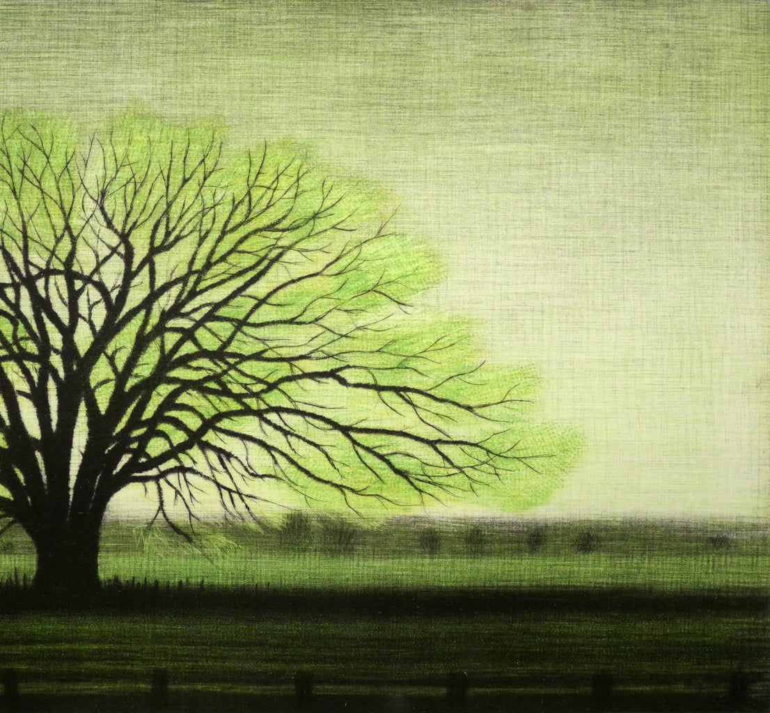 清水敦「はるにれ」銅版画（カラーメゾチント）　拡大画像3