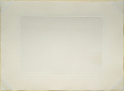 清水敦「かすみ草（Baby′s　Breath）」銅版画（カラーメゾチント）　作品シート裏側画像