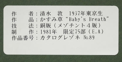 清水敦「かすみ草（Baby′s　Breath）」銅版画（カラーメゾチント）　額裏拡大画像1