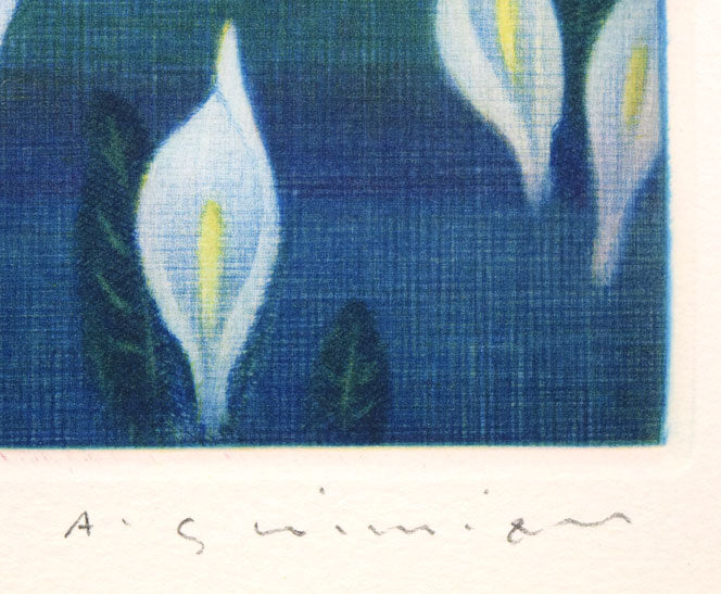 清水敦「水芭蕉」カラーメゾチント（銅版画）　本人直筆鉛筆サイン