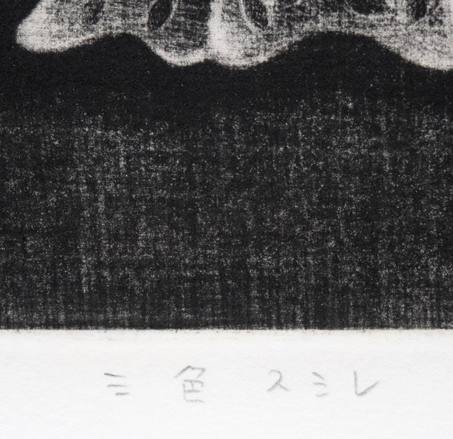 清水敦「三色スミレ」メゾチント（銅版画）　タイトル拡大画像