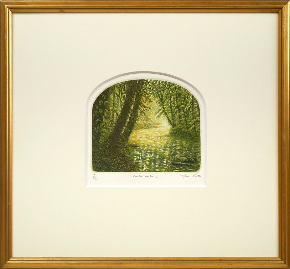 ステファン　ウイットル（Stephen　Whittle）「Sunlit　waters」銅版画