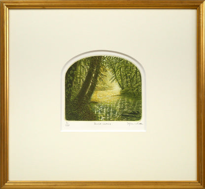 ステファン　ウイットル（Stephen　Whittle）「Sunlit　waters」銅版画
