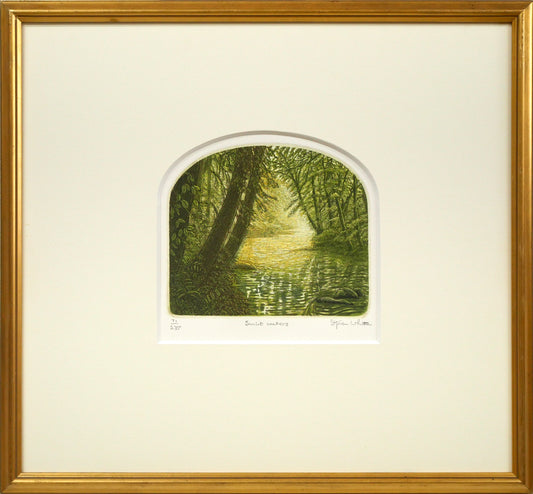 ステファン　ウイットル（Stephen　Whittle）「Sunlit　waters」銅版画