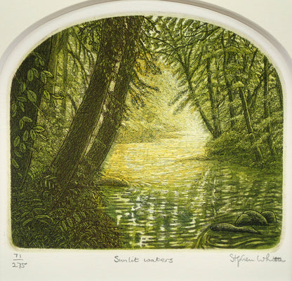 ステファン　ウイットル（Stephen　Whittle）「Sunlit　waters」銅版画　作品全体画像