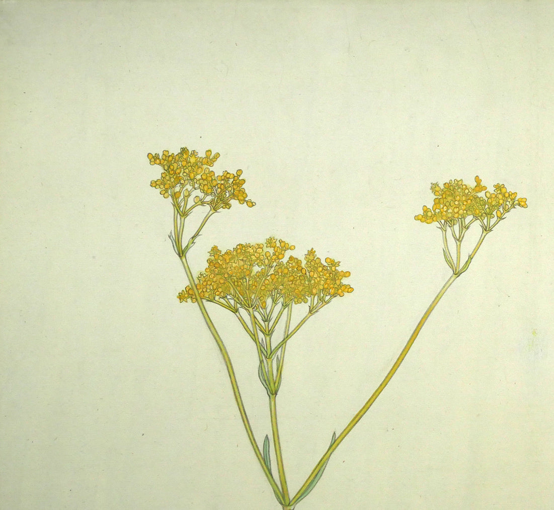 杉山寧「花」日本画・15号　拡大画像1