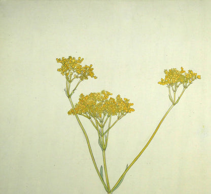 杉山寧「花」日本画・15号　拡大画像1