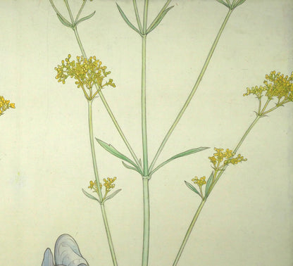 杉山寧「花」日本画・15号　拡大画像3
