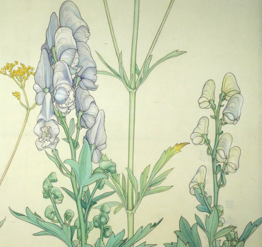 杉山寧「花」日本画・15号　拡大画像5