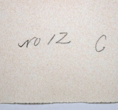 マルク・シャガール(Marc　Chagall)「ダビデの詩篇」よりPL.12　エッチング・アクアチント（銅版画）　裏側拡大画像