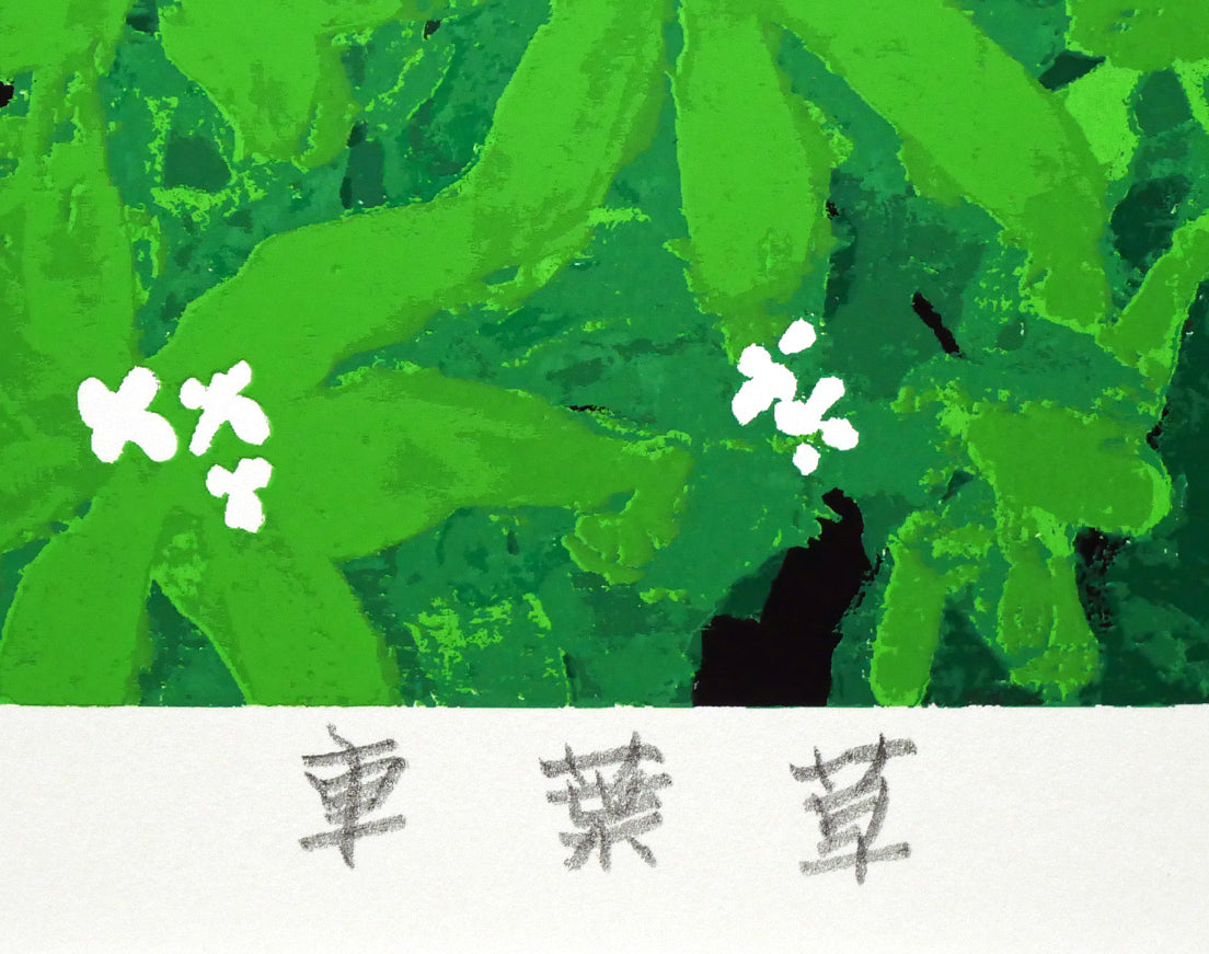 高橋英生「車葉草（クルマバソウ）」シルクスクリーン版画　作品タイトル
