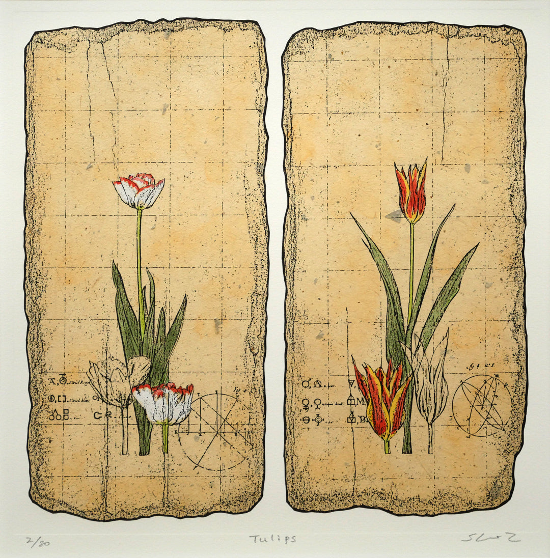 高橋シュウ「Tulips」銅版画　作品全体画像
