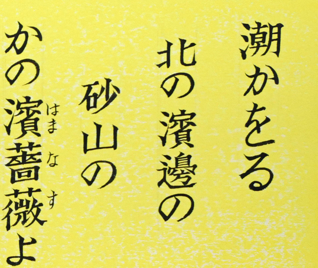 手島圭三郎「濱薔薇（ハマナス）〔函館・大森浜／石川啄木〕」水彩画　拡大画像1