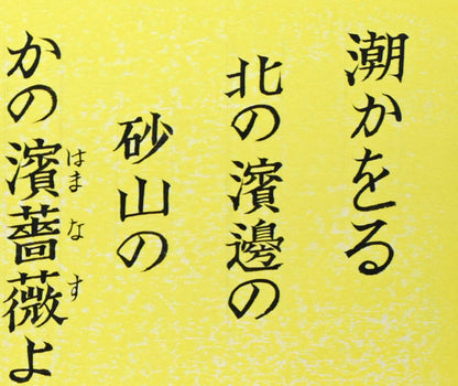 手島圭三郎「濱薔薇（ハマナス）〔函館・大森浜／石川啄木〕」水彩画　拡大画像1