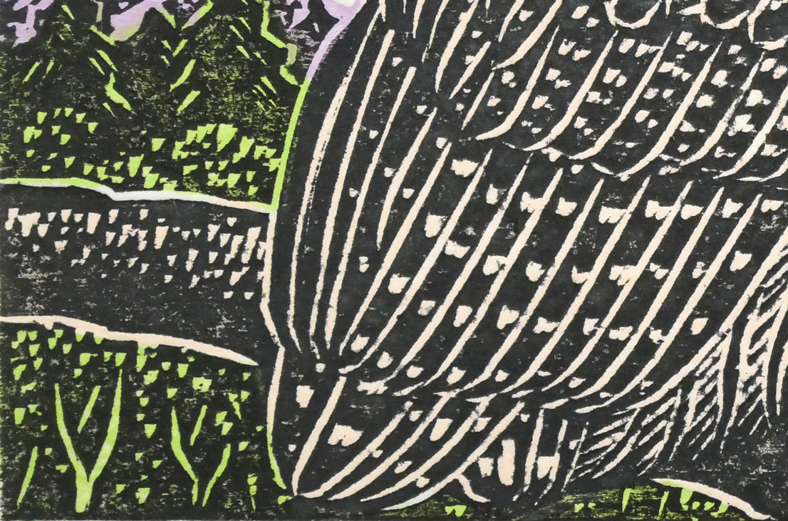 手島圭三郎「しまふくろう春」木版画　拡大画像3