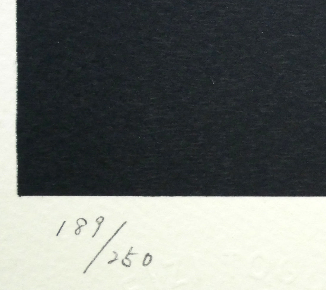 東郷青児「バラ一輪」リトグラフ　限定番号（ed,189/250）